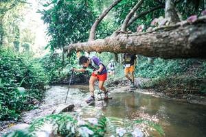 BIB: 
                            <button type="button" onclick="openModal(25435185)" class="btn btn-primary btn-sm float-right btn-popup" data-toggle="modal" data-target=".modal-high-quality">
                        <i class="fas fa-shopping-cart"></i> Add to Cart
                    </button>
                                            <button type="button" onclick="isThisMe(25435185, true)" class="btn btn-success btn-sm float-right btn-popup btn-isme hidden" data-toggle="tooltip" data-placement="bottom" title="นี่คือรูปของคุณใช่ไหม คลิกที่นี่เพื่อเอาเข้าอัลบั้ม">
                        <i class="fas fa-plus"></i> Add to album
                    </button>
                    <button type="button" onclick="isThisMe(25435185, false)" class="btn btn-warning btn-sm float-right btn-popup btn-isnotme hidden">
                        <i class="fas fa-ban"></i> Remove from album
                    </button>